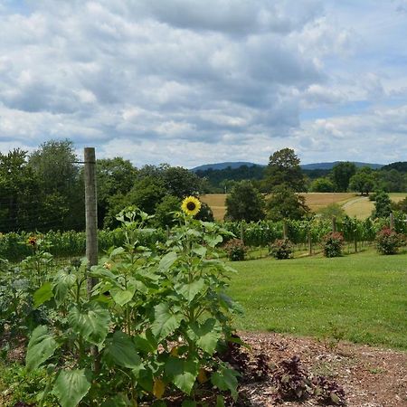 Woodville Bed And Breakfast Esmont Bagian luar foto